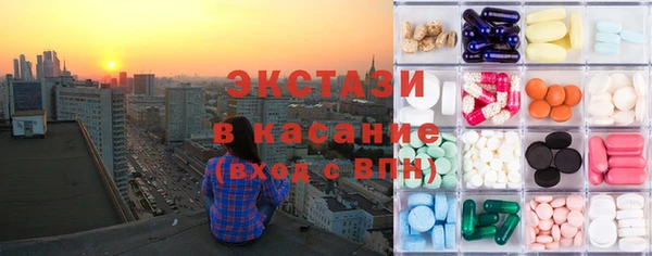 индика Елизово