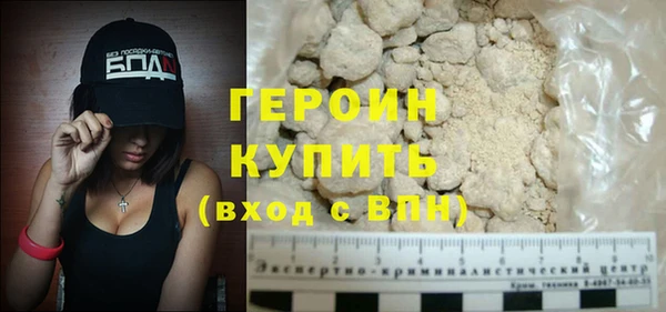 индика Елизово