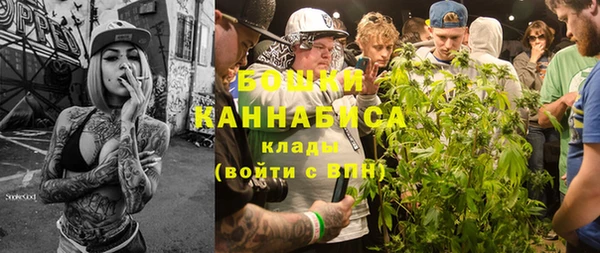 бошки Ельня
