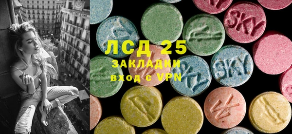 индика Елизово