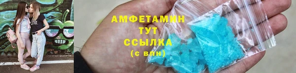 индика Елизово