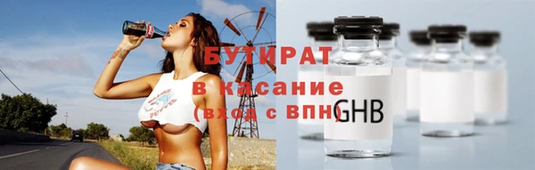 индика Елизово