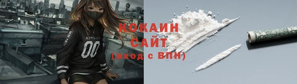индика Елизово