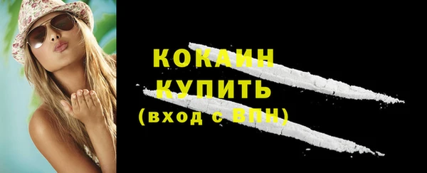 индика Елизово