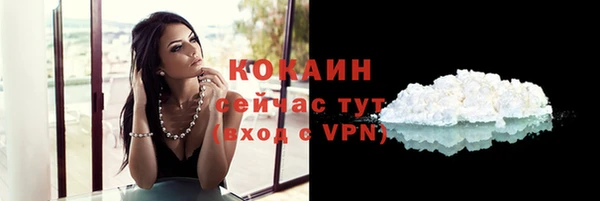 индика Елизово
