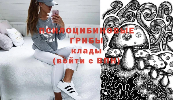 индика Елизово