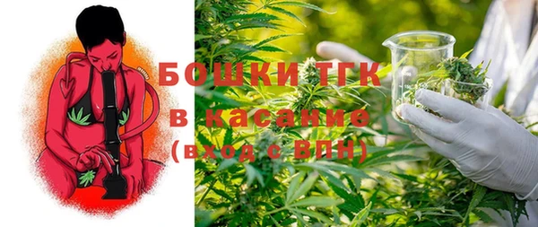 бошки Ельня