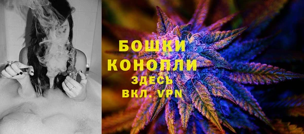 индика Елизово