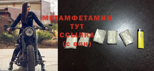 индика Елизово