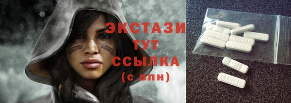 индика Елизово