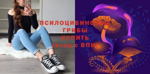 индика Елизово
